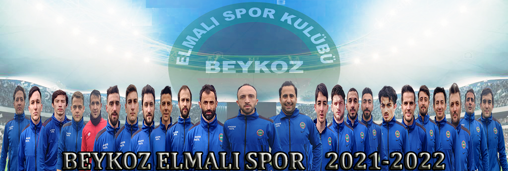 Fotoğraf